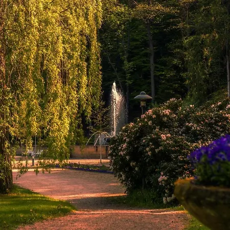 Koenig Otel Bad Elster