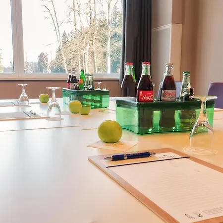 Hotel Koenig Bad Elster