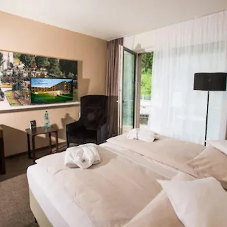 Koenig Otel Bad Elster