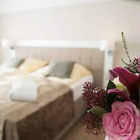 Otel Koenig Bad Elster