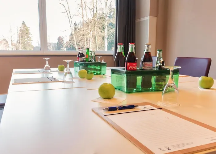 Hotel Koenig Bad Elster